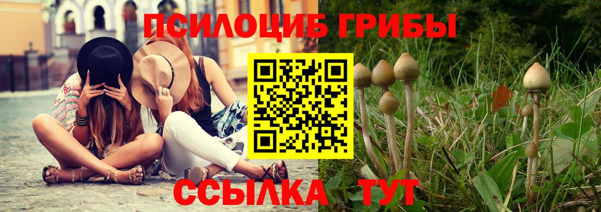 Лесозаводск  Псилоцибиновые грибы прущие грибы  Вход с VPN 