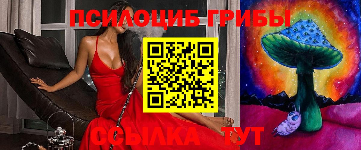 Галлюциногенные грибы Psilocybe Лесозаводск