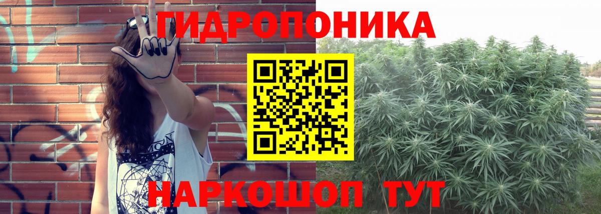 Бошки марихуана Amnesia  Вход с VPN  Бошки Шишки сатива  Лесозаводск  Шишки марихуана Bruce Banner 